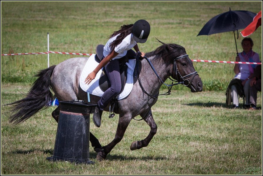 Mounted Games 260